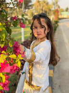 Meherzain Joyful Rainbow Sharara Set