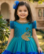 Aafreen Royal Flare Party Gown