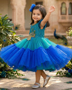 Aafreen Royal Flare Party Gown