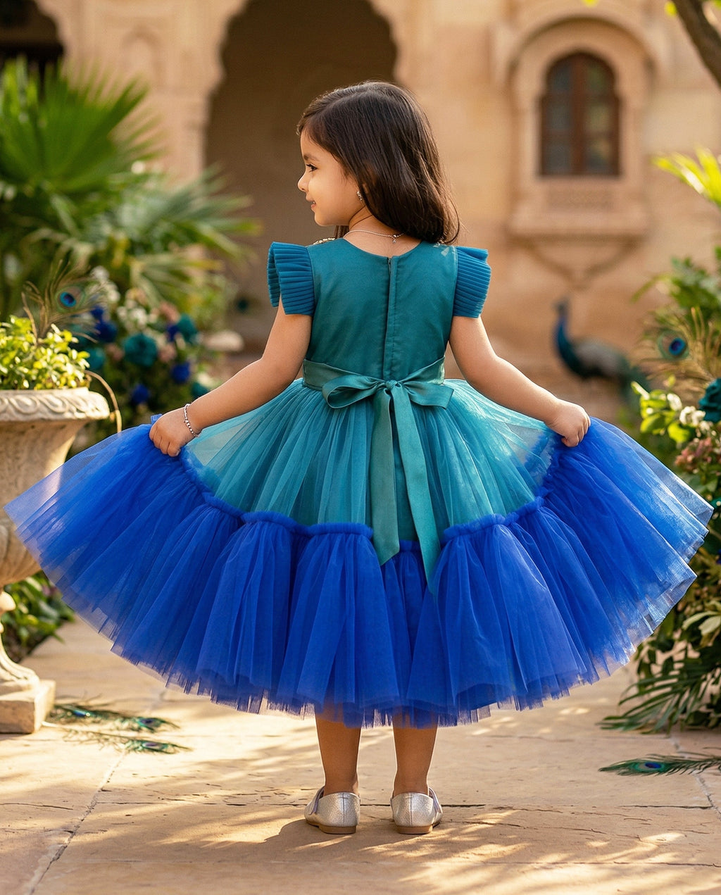 Aafreen Royal Flare Party Gown