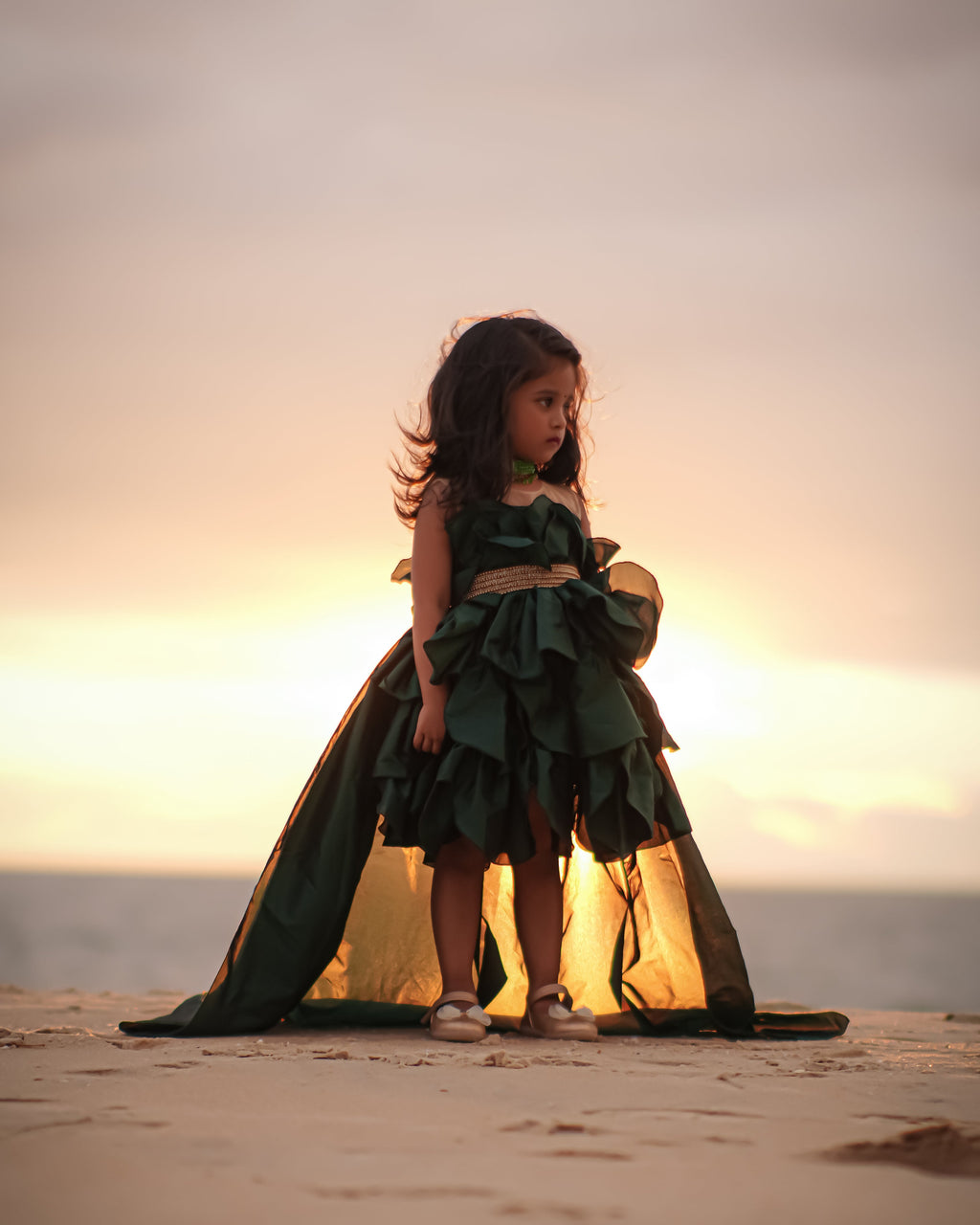 Royal Trail Party Wear Gown