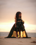 Royal Trail Party Wear Gown