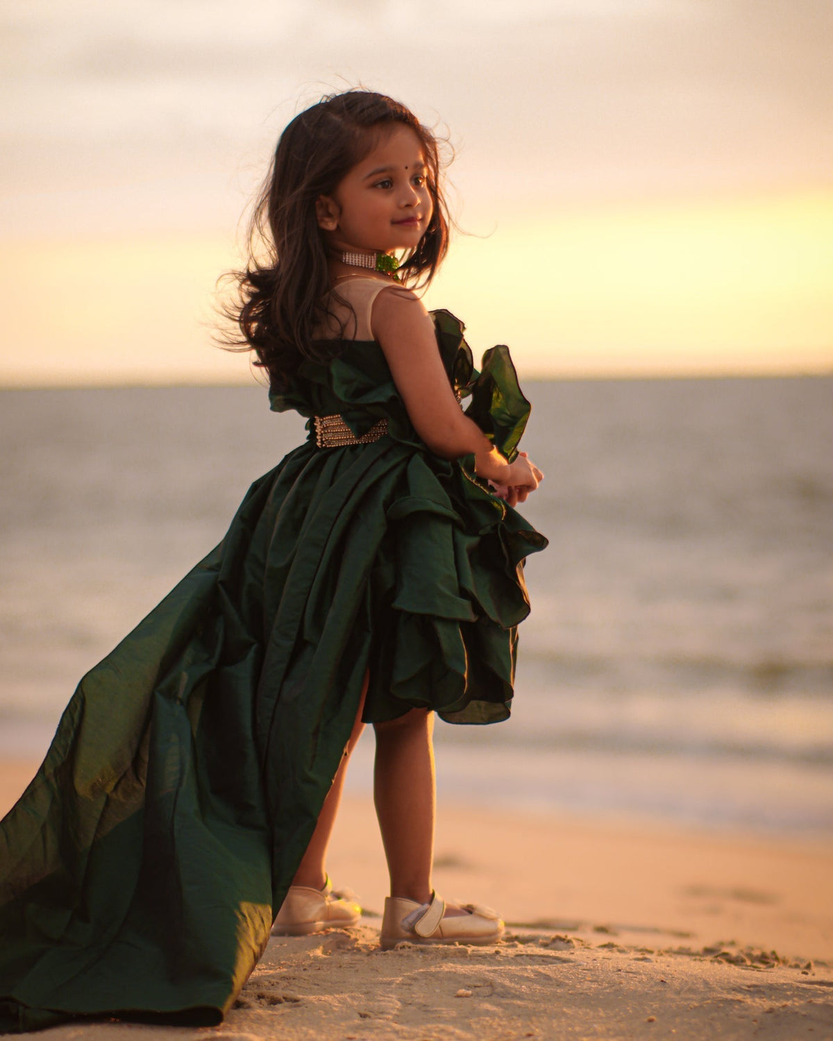 Royal Trail Party Wear Gown