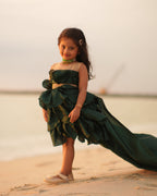 Royal Trail Party Wear Gown