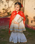 Noor Jahan Traditional Elegant Sharara