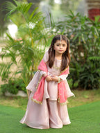 Blush Princess Sharara Set