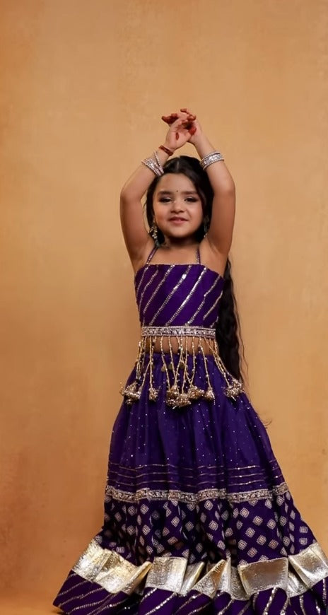 Meher Royal Purple Traditional Lehenga Choli