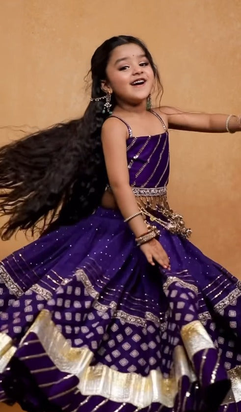 Meher Royal Purple Traditional Lehenga Choli