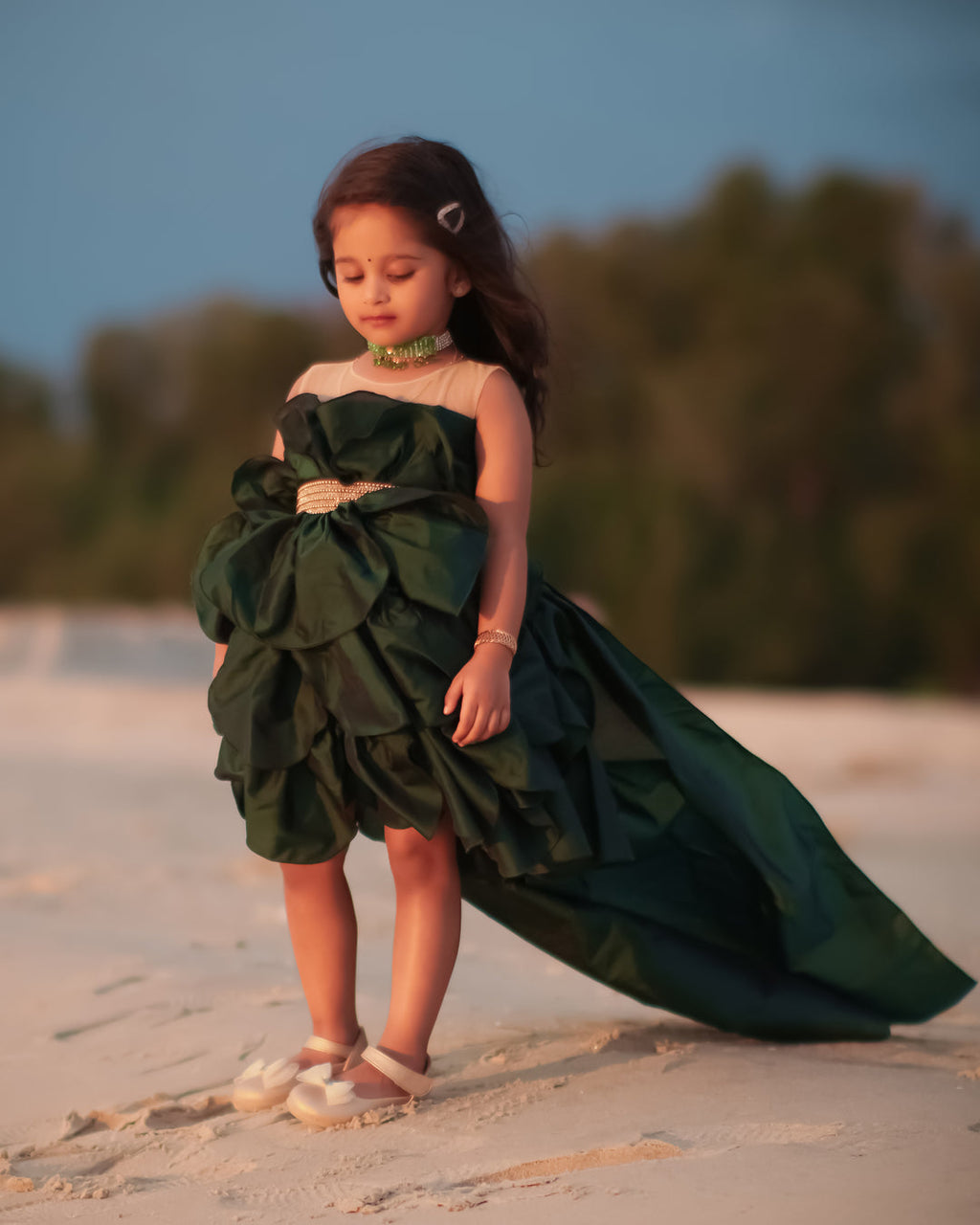 Royal Trail Party Wear Gown